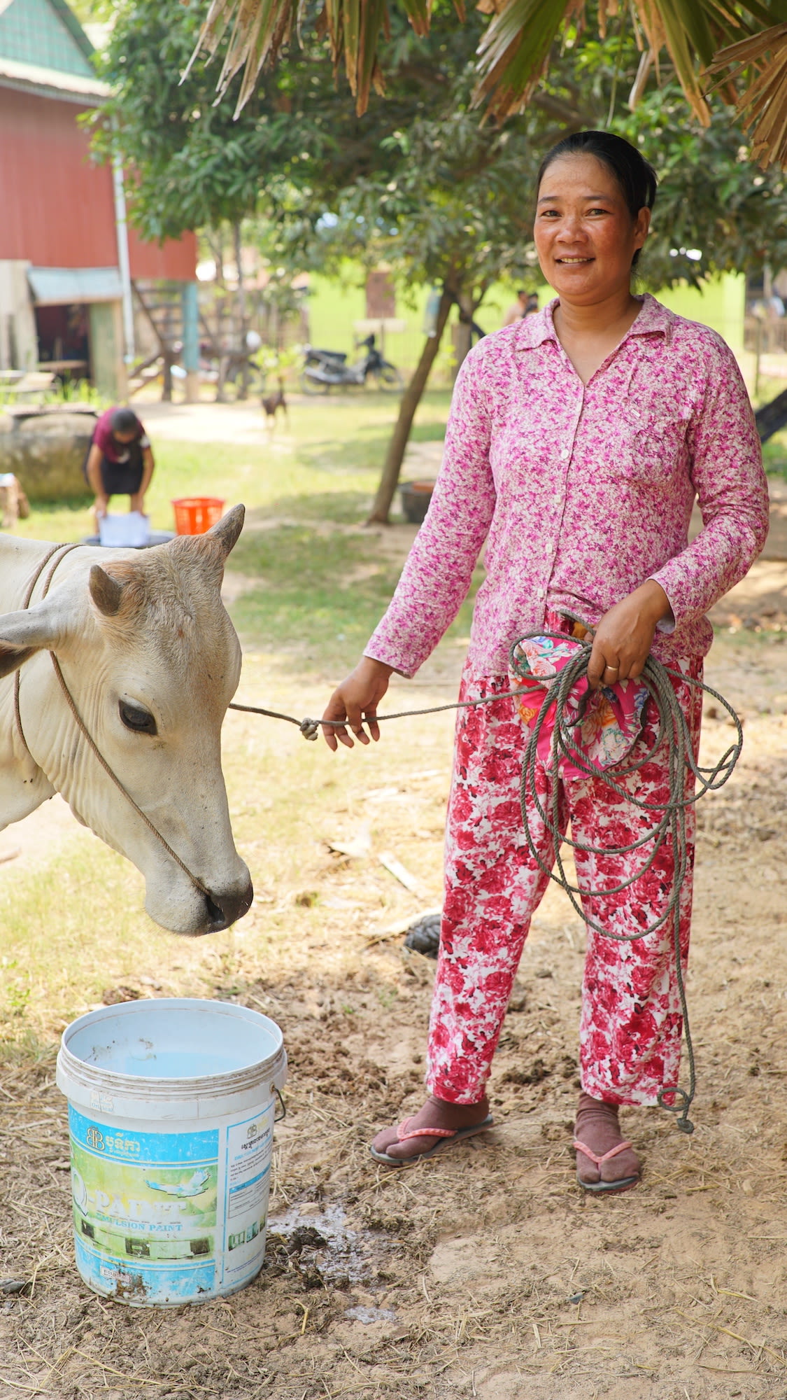 Thou's loan helped to purchase more rice seed and organic pesticides to improve her rice farmland and get a good yield.