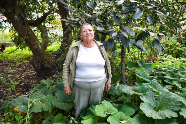A Kiva loan of $1,750 to Rosa helped to buy avocado plants in order to increase sales in her business.